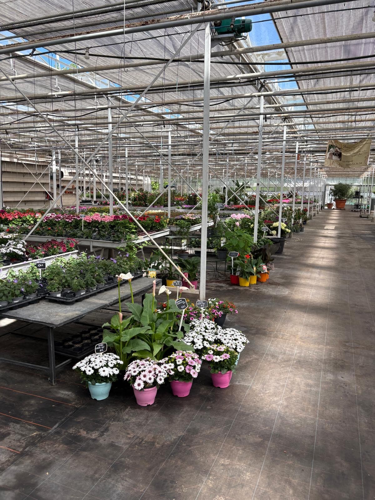 De serre van Ectortuin met bloeiende planten